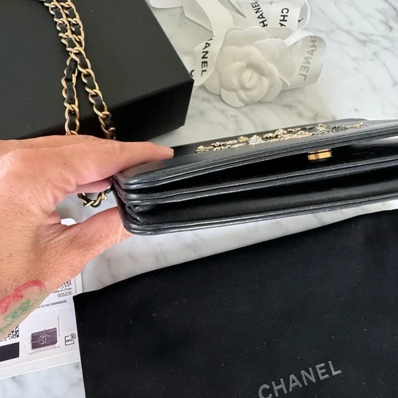 Chanel Wallet On Chain EXTREMELY RARE Lucky Charms Black Calfskin Crossbody Bag - Picture 7 of 16